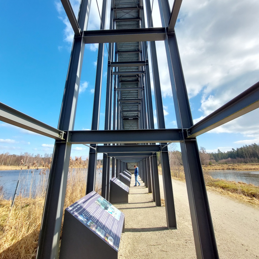 Foto: Martin Zehrer - Auf zur Himmelsleiter bei Tirschenreuth. Herrliches Wetter, beste Aussicht, der Frühling liegt in der frischen Luft. 