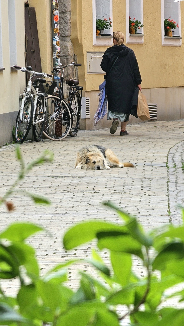 Entspannte Mittagspause in einer Bayreuther Gasse...