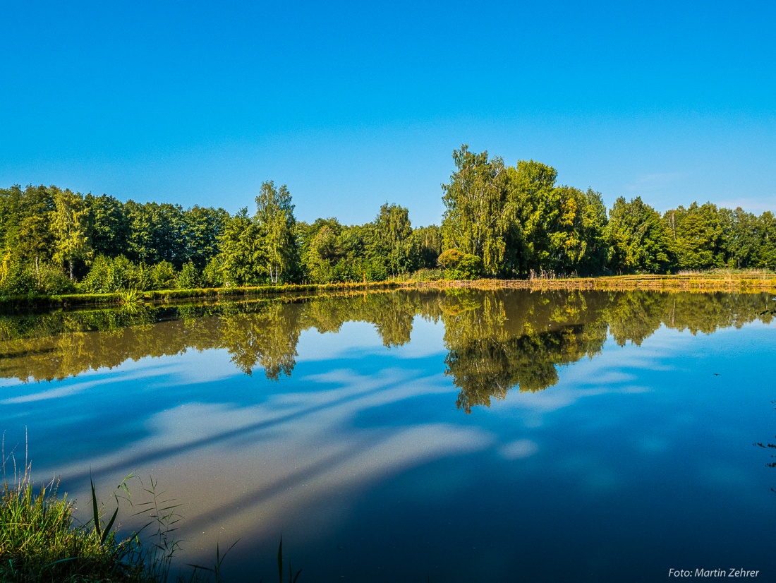 Foto: Martin Zehrer - Radtour nach Godas mit Rast am Weiher...<br />
<br />
Unglaubliches Wetter und tolle Atmosphäre!!! :-) 