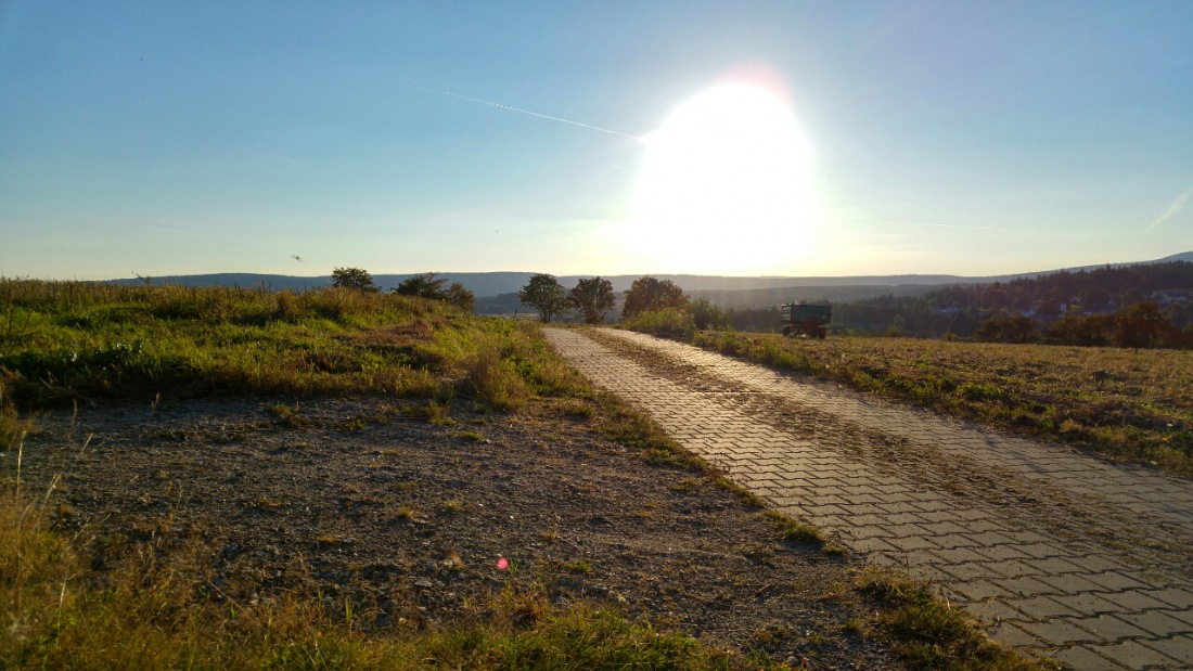 Foto: Martin Zehrer - Blick in die Sonne... Bei Nagel... 