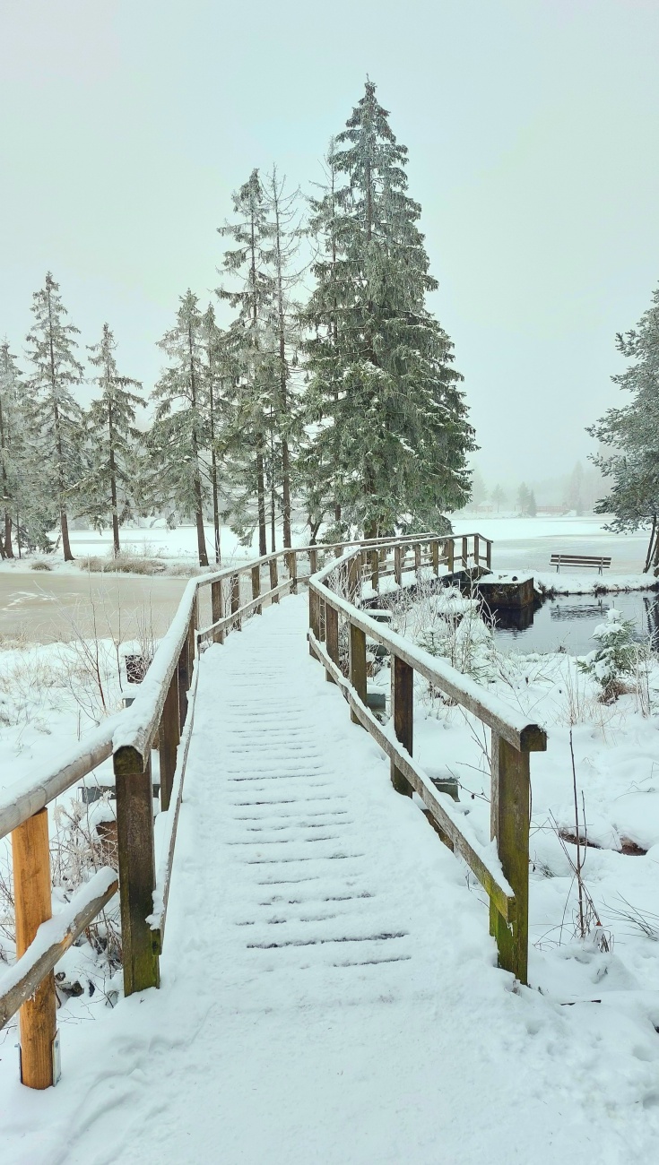 Foto: Martin Zehrer - Das Brückchen an der hinteren Seite zum Fichtelsee. Nebenan befindet sich das Moorgewässer... 