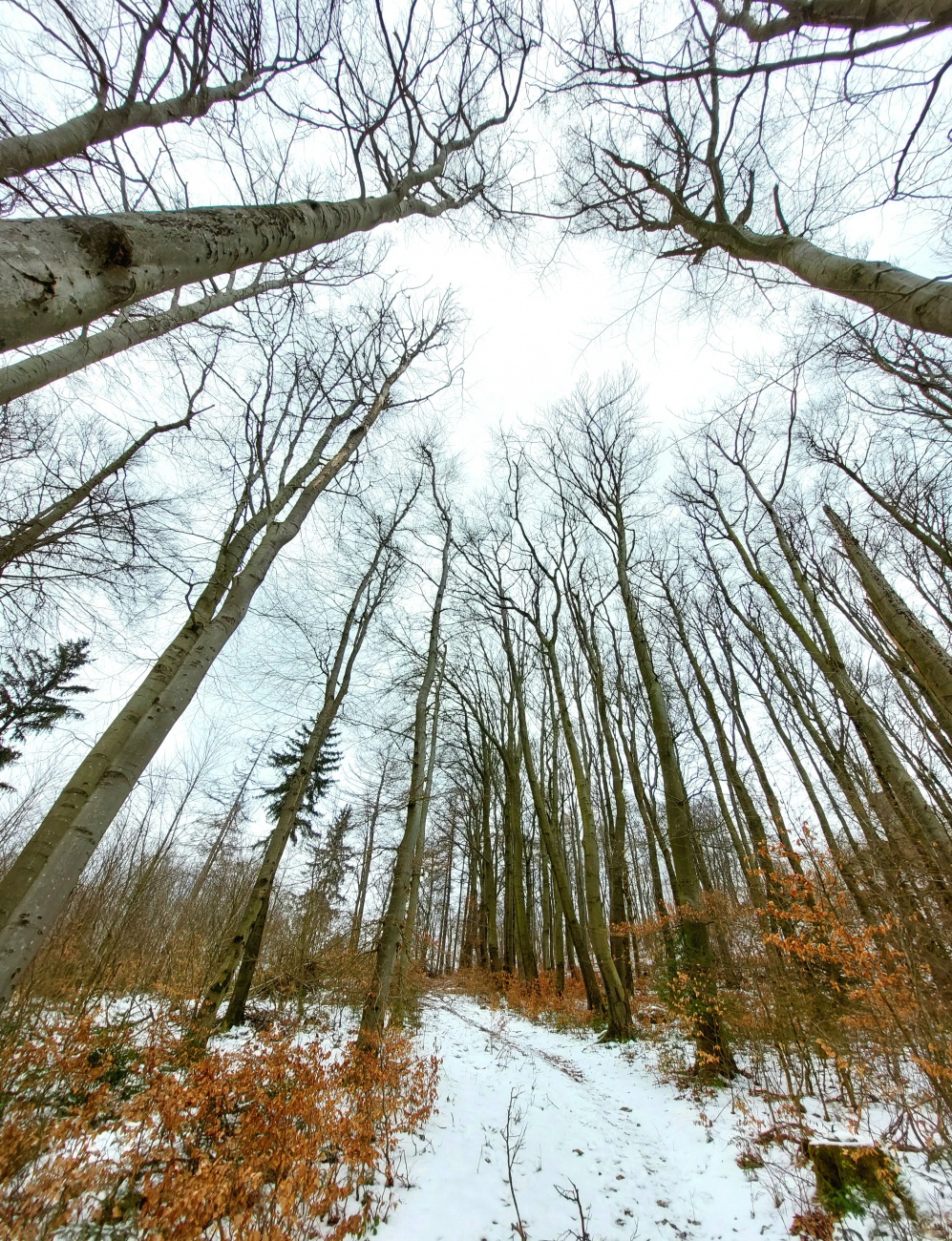 Foto: Martin Zehrer - Herrlich mit Jennifer Müller  :-) Wandern hoch zum Armesberg, oben drüber, hinten runter, einmal rund herum und wieder zurück :-) 