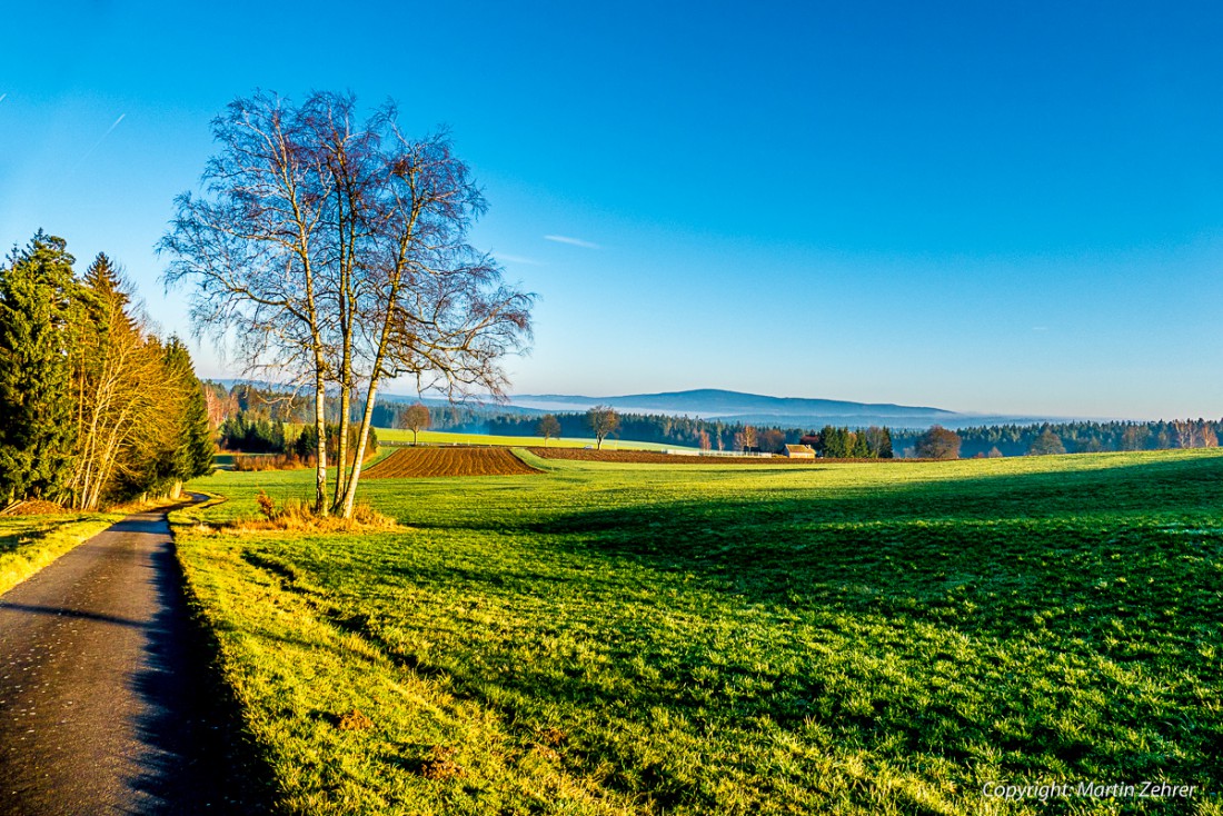 Foto: Martin Zehrer - 7. Dezember 2015 - Was für ein Tag - Aber nur hinter der Alm Richtung Brand... Man könnte meinen, es ist Frühling :-) 