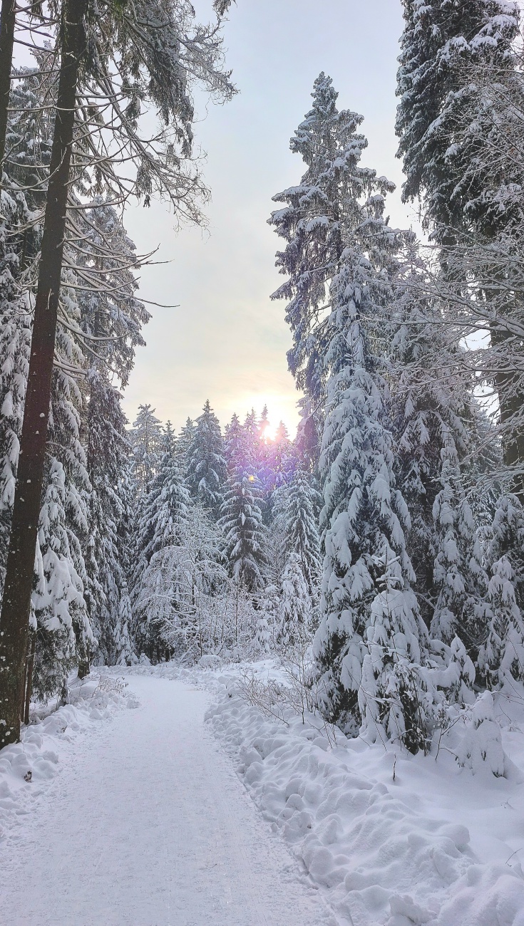 Foto: Martin Zehrer - Winter-Wanderung um den Fichtelsee... unglaublich!!! 
