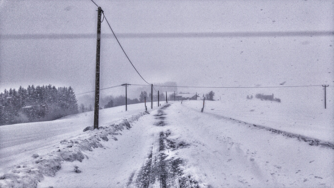 Foto: Martin Zehrer - Schneewehen bei Godas droben, 3. Februar 2019! ;-) 