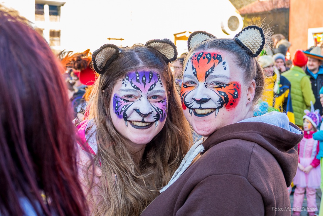 Foto: Martin Zehrer - Fasching in Waldeck 2017... viele Narren, lustiges Volk und Hammer-Wetter :-)  