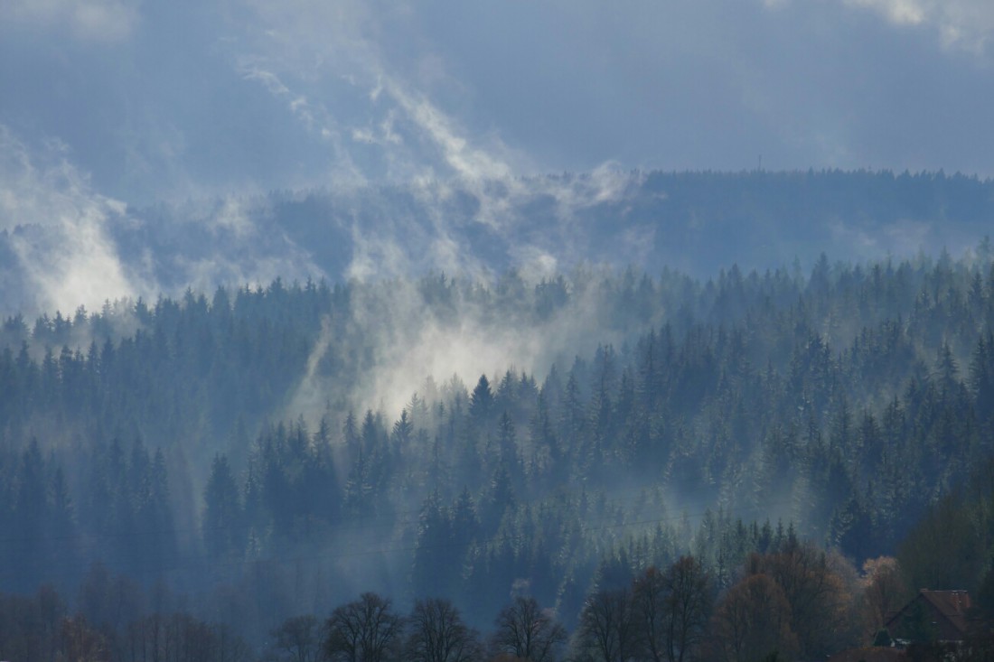 Foto: Martin Zehrer - Nebelwald bei Neusorg 