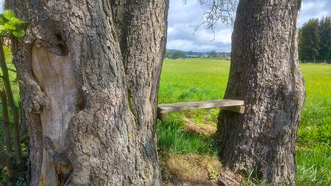 Foto: Martin Zehrer - Perfektes Bankl... 