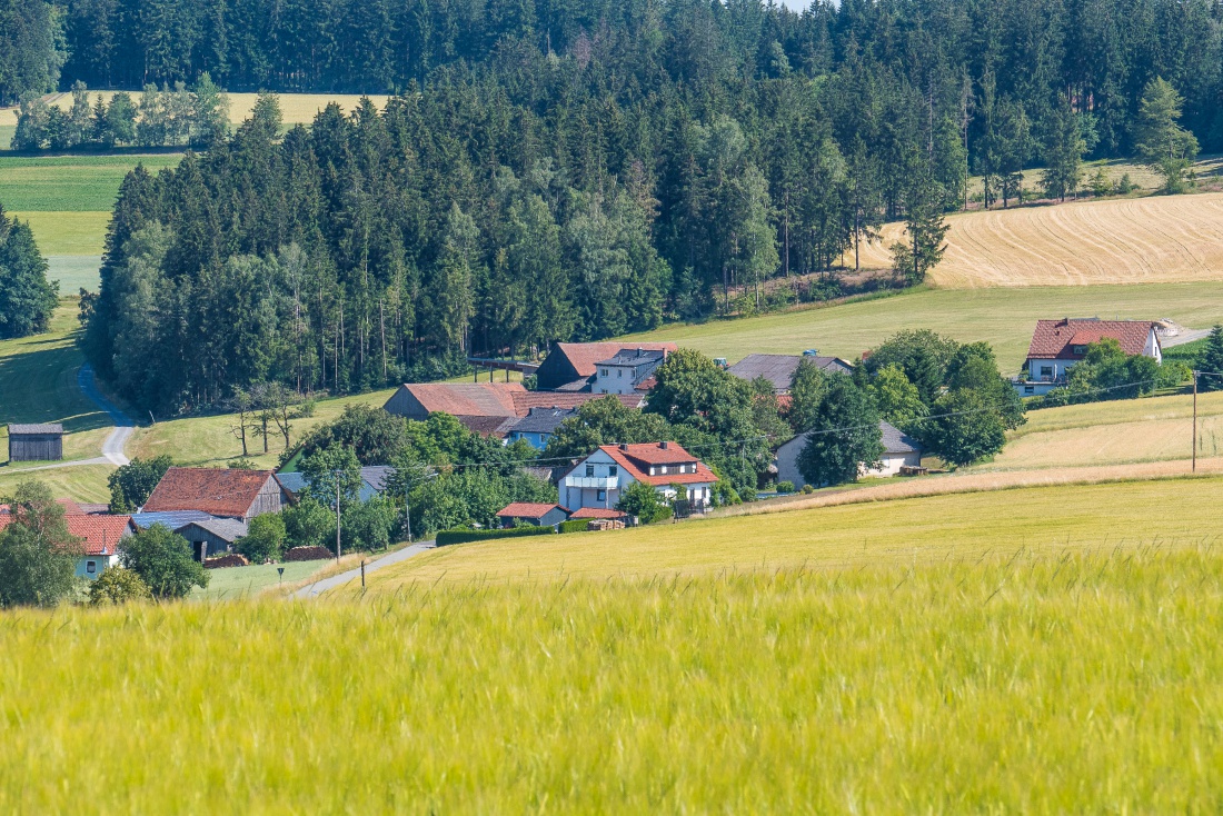 Foto: Martin Zehrer - Das Dorf Godas in Sommer-Laune... 