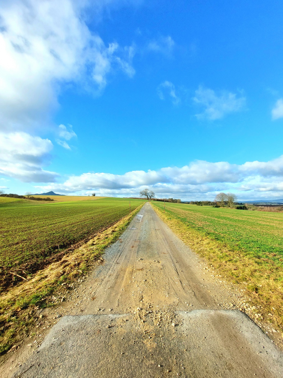 Foto: Martin Zehrer - Spaziergang am letzten Tag im Jahr 2021 bei Kastl... <br />
Die Luft-Temperatur liegt bei ca. 13 Grad, in der Sonne ist es aber schon ziemlich warm.  