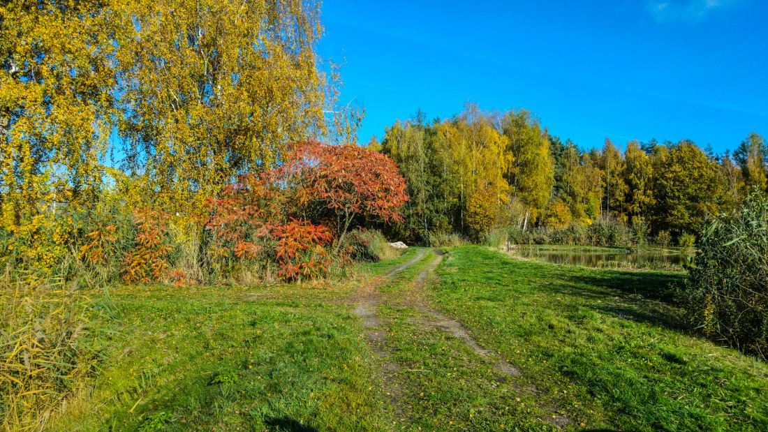 Foto: Martin Zehrer - Herbstfarben :-) 