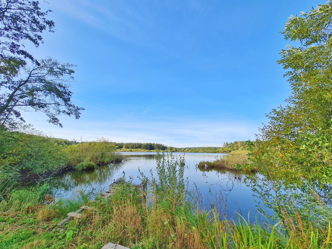 Foto: Jennifer Müller - Der Obersee (großer Rußweiher) in Eschenbach. Ein sehr sehenswertes Naturschutzgebiet in der Oberpfalz mit vielen verschiedenen Vogelarten und einer großartigen Landschaf 