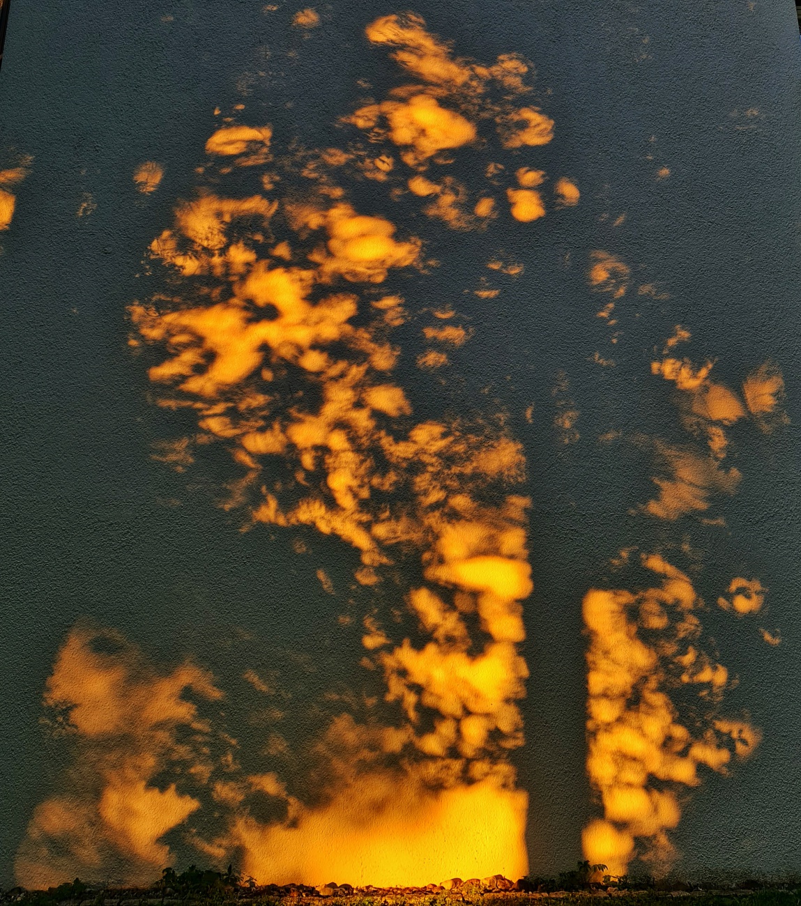 Foto: Jennifer Müller - When the sun goes down...<br />
Die Silhouette eines Baumes gemalt an eine Hauswand von der untergehenden Sonne. 