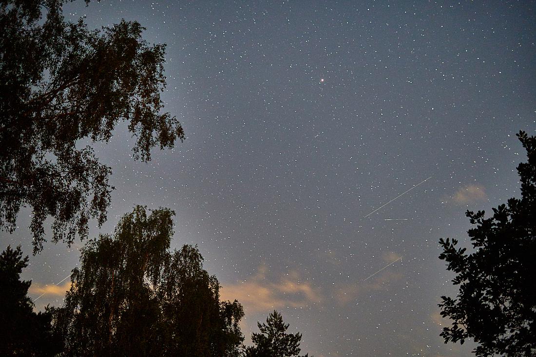 Foto: Martin Zehrer - Nachts, wenn alles schläft und die Frösche wie die Wahnsinnigen um die Wette quaken... Aber die Sterne bleiben... ;-)<br />
<br />
19. Juni 2019 - 23:44Uhr 