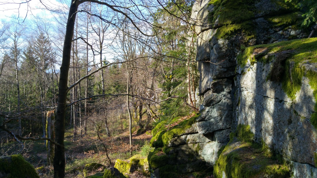 Foto: Martin Zehrer - Felsen - Nicht ohne Grund trägt der Steinwald den Namen Stein-Wald :-) 
