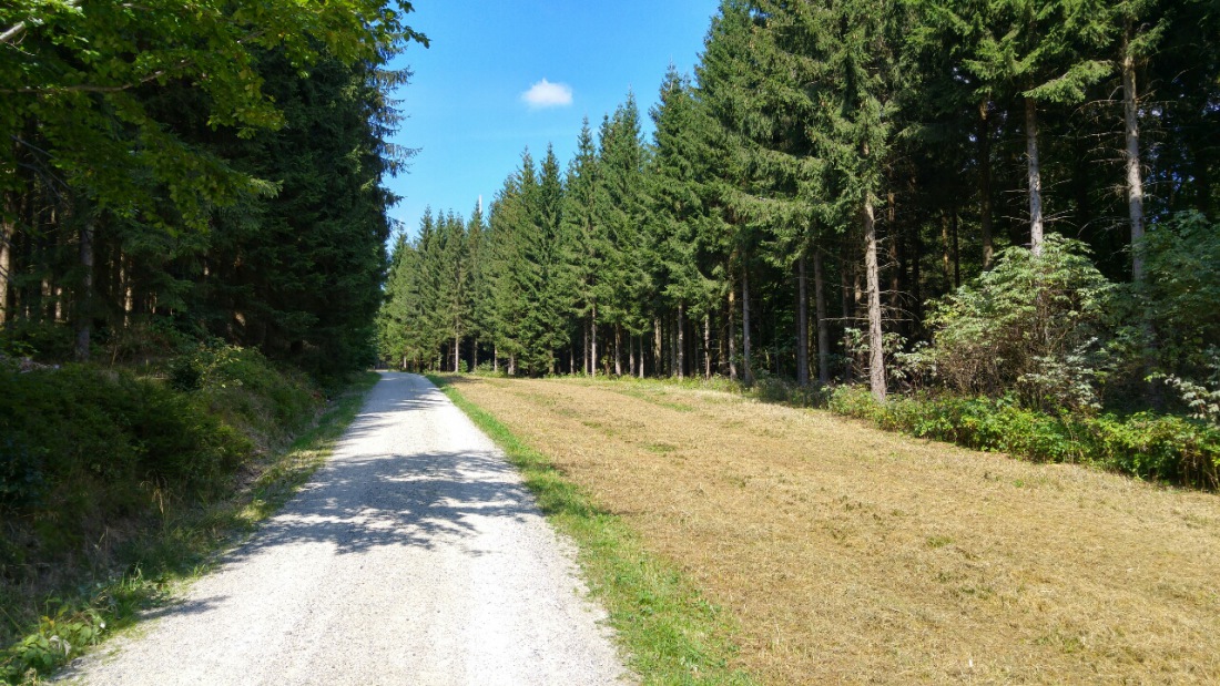 Foto: Martin Zehrer - Radtour zum Ochsenkopf - was für ein top Herbstag an diesem 11. September... 