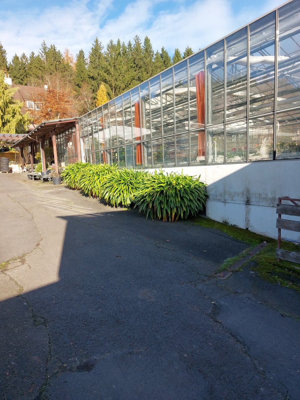 Foto: Martin Zehrer - In der malerischen Umgebung von Neusorg, am Rande eines Waldgebietes, liegt die Gärtnerei Förth. Das Herzstück der Einrichtung sind mehrere großes Gewächshäuser, die eine 