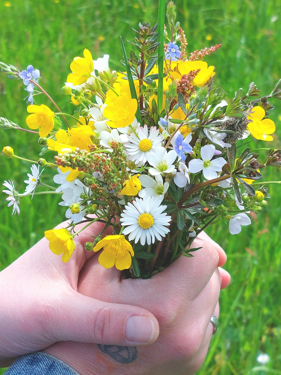 Foto: Martin Zehrer - Ein wunderschöner Blumenstrauß für die Mama... ;-) 