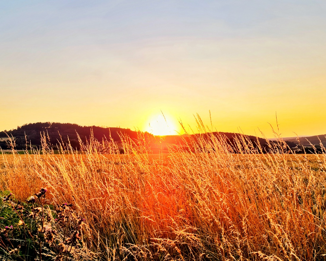 Foto: Jennifer Müller - Sonnenuntergang bei Schadenreuth... lädt ein zum Träumen... 