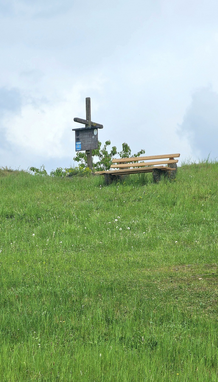 Das Gipfelkreuz auf dem Kusch-Berg bei Atzmannsberg.

Der Kuschberg ist ein 585 Meter hoher, erloschener Vulkan (Basaltkegel) in der Nähe des Dorfes Atzmannsberg.