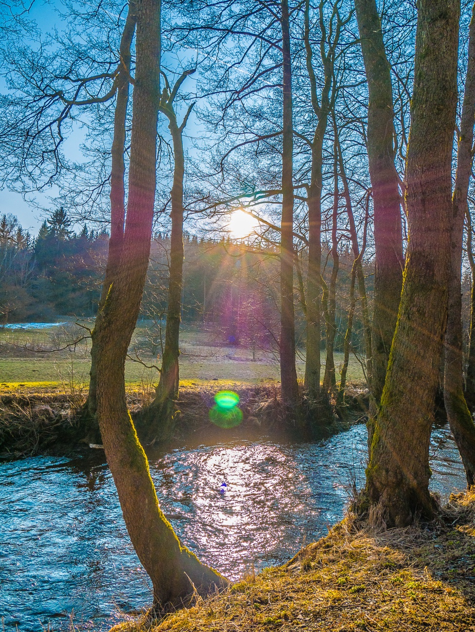 Foto: Martin Zehrer - Radtour: Die Sonne steht tief...<br />
<br />
Radtour mit dem E-Bike von Kemnath über Neusteinreuth nach Godas hoch, Trevesen, Kautzenhof und über den Radweg an der Naab wieder zur 