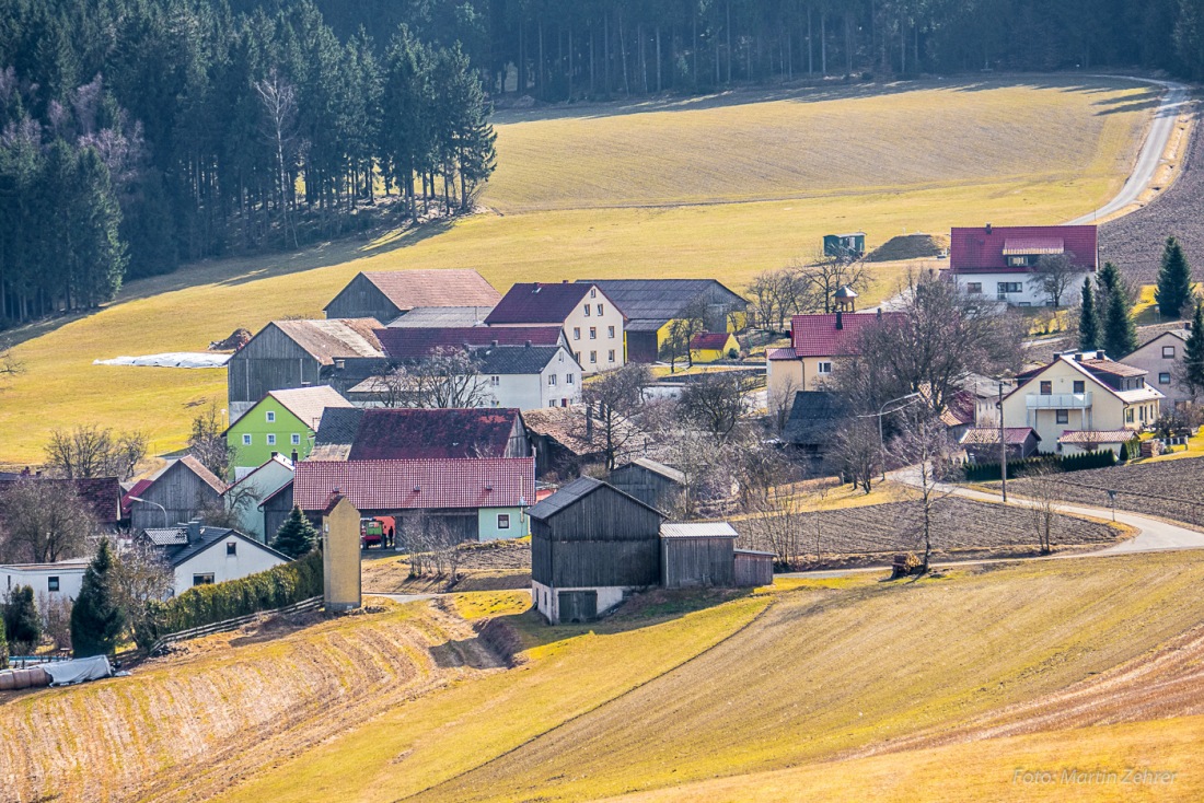 Foto: Martin Zehrer - Godas, Zentrum der Ruhe und Zufriedenheit :-)<br />
<br />
4. März 2017, der Frühling hält Einzug... 