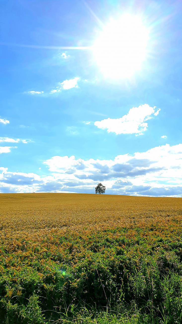 Foto: Martin Zehrer - Sommerliche Weite... Zwischen Kemnath und Berndorf ;-) 