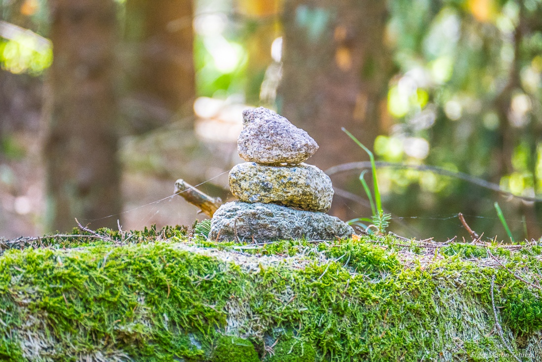 Foto: Martin Zehrer - Stein-Zeichen im Steinwald... Einer mehr als vorher...<br />
<br />
Ziel ist eine Wanderung zum Oberpfalzturm oben auf der Platte, dem höchstem Berg im wunderbarem Steinwald. <br />
Wun 