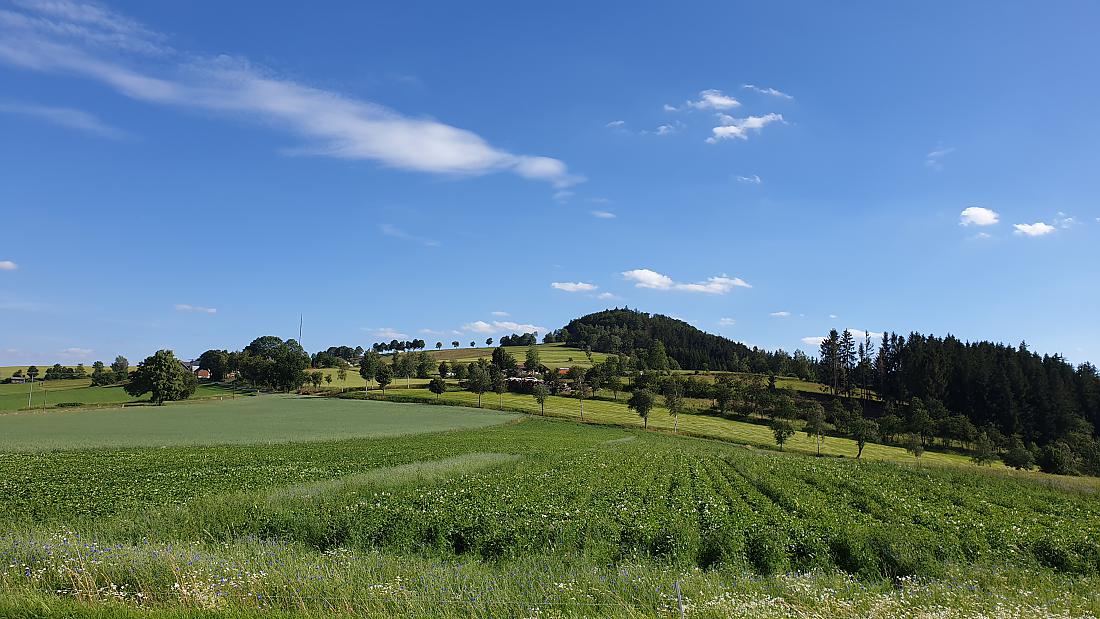 Foto: Martin Zehrer - Der Armesberg von Wunschenberg aus gesehen... 4. Juli 2020 