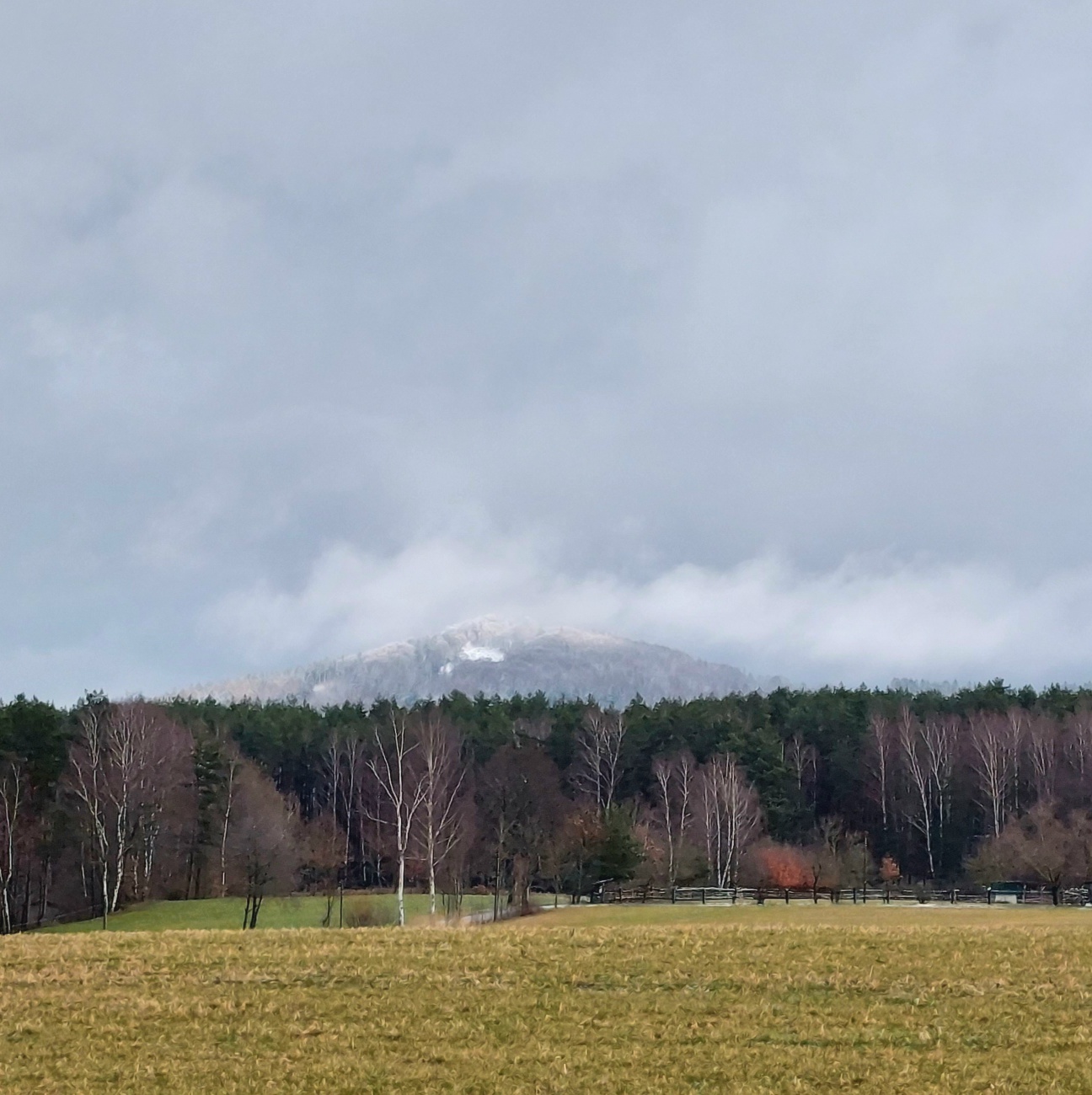 Foto: Martin Zehrer - Unten grün und oben weiß...<br />
<br />
Blick von Kemnath zum Armesberg hoch... 