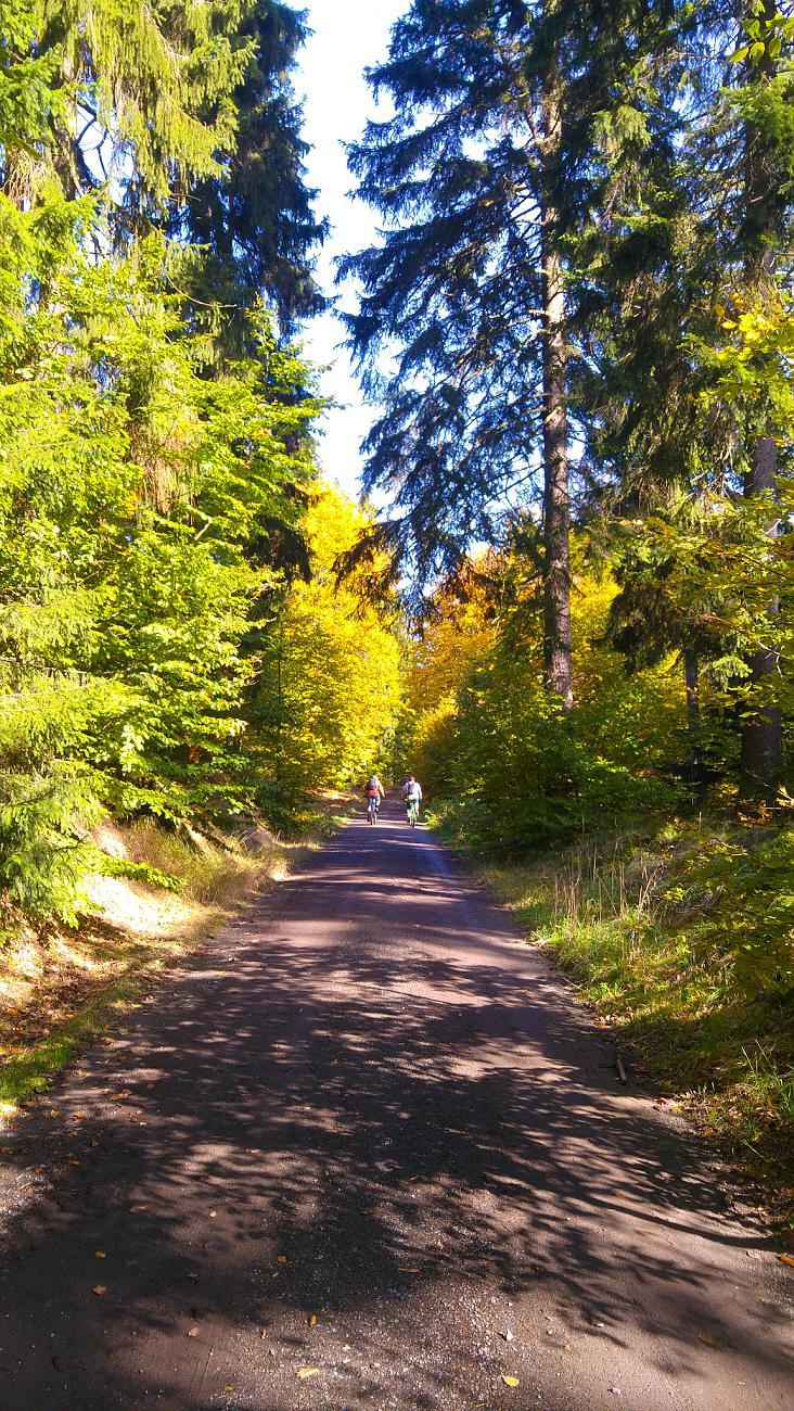 Foto: Martin Zehrer - Vormittags-Wanderung in den Steinwald. Der goldene Herbst ist mit ca. 22 Grad Temperatur, blauem Himmel und kräftigen Sonnenschein zurück...<br />
<br />
13.10.2019 