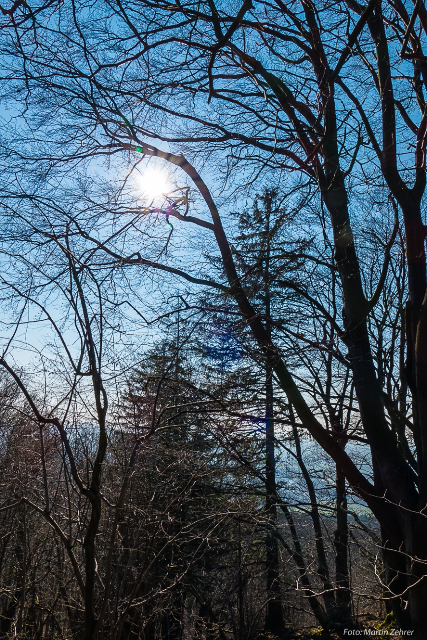 Foto: Martin Zehrer - Traumwald am Armesberg... ;-)<br />
<br />
Samstag, 23. März 2019 - Entdecke den Armesberg!<br />
<br />
Das Wetter war einmalig. Angenehme Wärme, strahlende Sonne, die Feldlerchen flattern  
