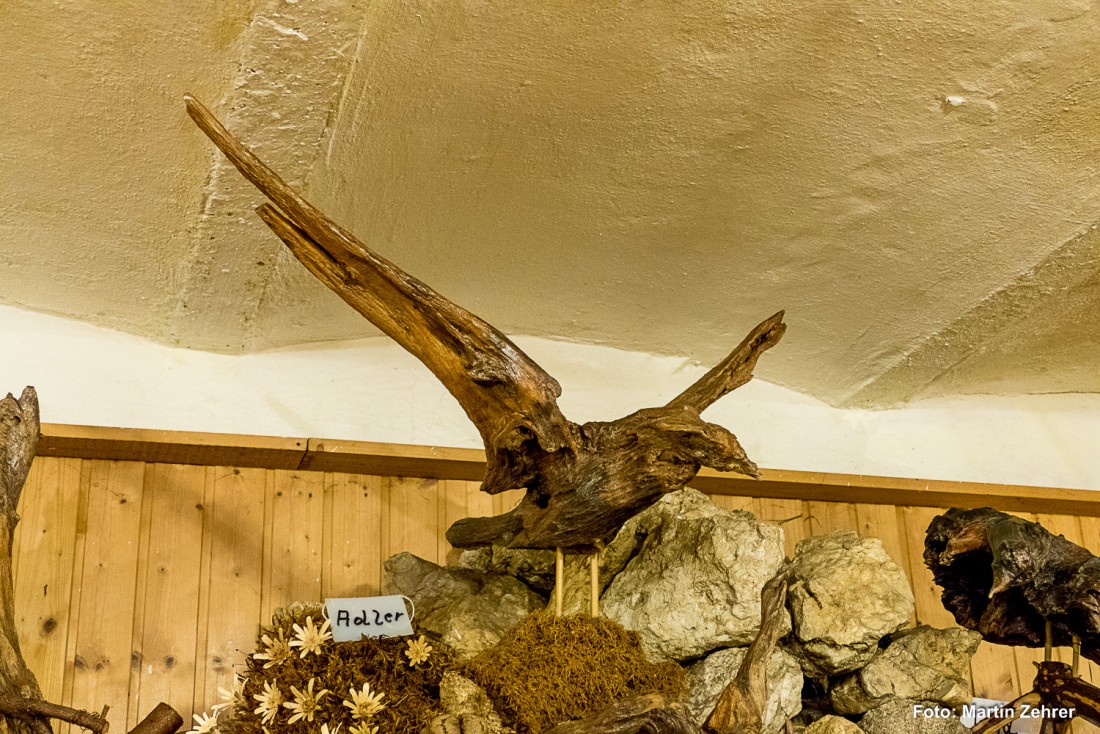 Foto: Martin Zehrer - Unglaublich: Eine als Adler geformte Wurzel, zu sehen im Wurzelmuseum Tremmersdorf. Hunderte Lebewesen warten in diesem einzigartigen Museum auf ihre Besucher. <br />
Bernd Do 