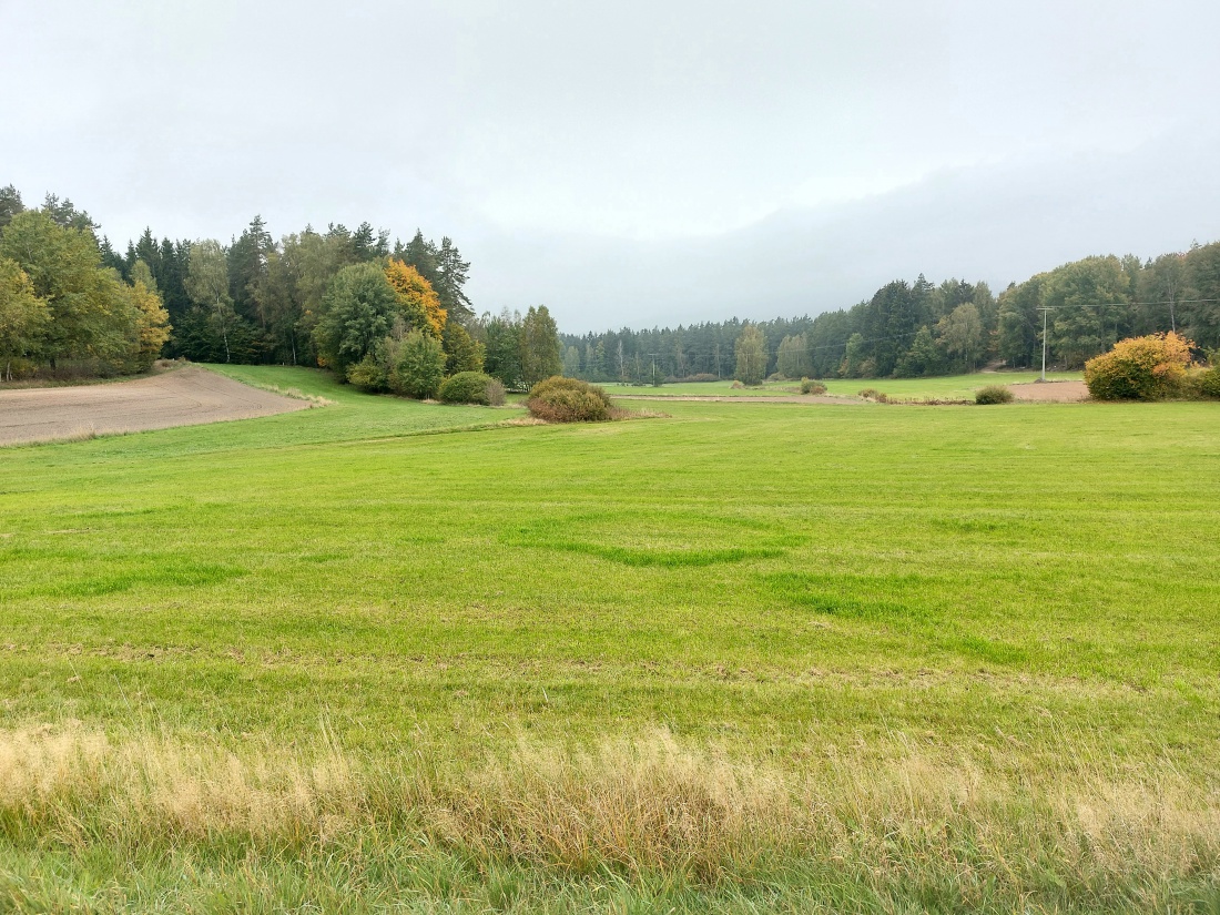 Foto: Martin Zehrer - Mehrere Auffälligkeiten auf einer Wiese... <br />
Hinweise auf vergangenes Leben? 