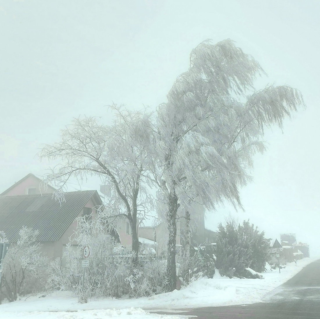 Foto: Martin Zehrer - 27. Januar 2022 oben, bei Godas...<br />
Nebel, angefrorene Bäume und minus 3 Grad kalt... 