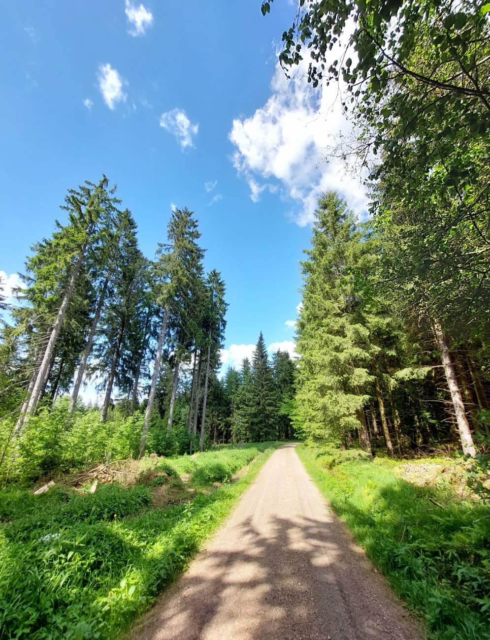 Foto: Martin Zehrer - Da geht einem das Herz auf.<br />
Wandern durch den Wald bei Mehlmeisel zu einem Gedenkstein eines Flugzeugabsturzes im zweiten Weltkrieg. 