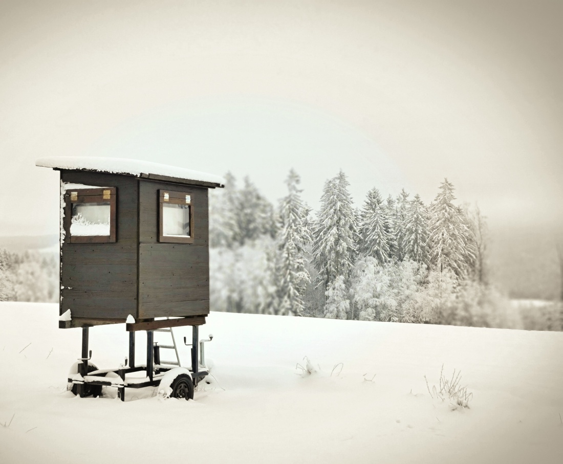 Foto: Jennifer Müller - Droben am Zissler... Herrliche Vorweihnachts-Winter-Wander-Kulisse. 