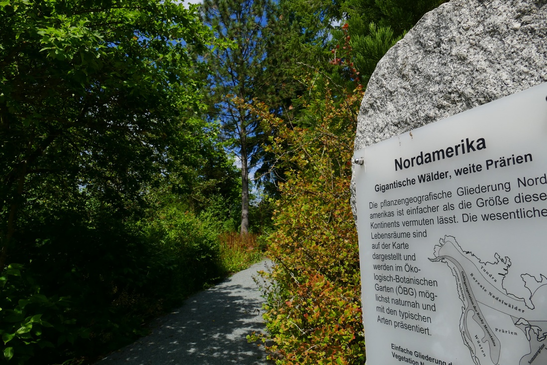 Foto: Martin Zehrer - ÖKOLOGISCH-BOTANISCHER GARTEN in Bayreuth...<br />
<br />
Rund 12.000 Pflanzenarten, unter Anderem aus Nordamerika gibts hier zu bestaunen...  