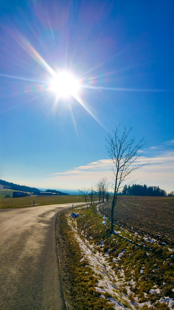 Foto: Martin Zehrer - 8. Februar 2020 - Frühlingshaftes Wetter mit Sonnenschein und blauem Himmel... 