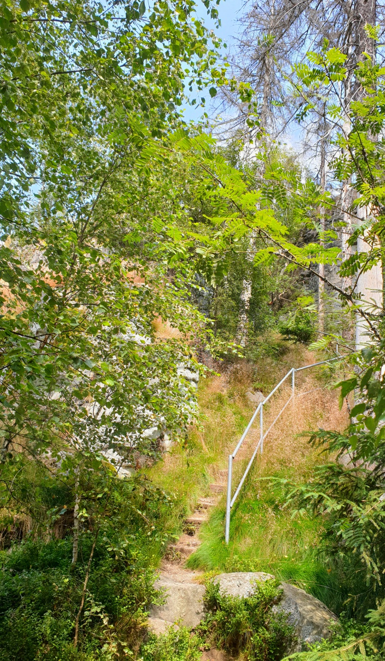 Foto: Martin Zehrer - Hier gehts zum wunderschönen  Reisenegger-Felsen hoch. Er befindet sich im Steinwald...<br />
<br />
Radtour: <br />
Immenreuth - Kulmain - Aign - Riglasreuth - Lochau - Haselbrunn - du 