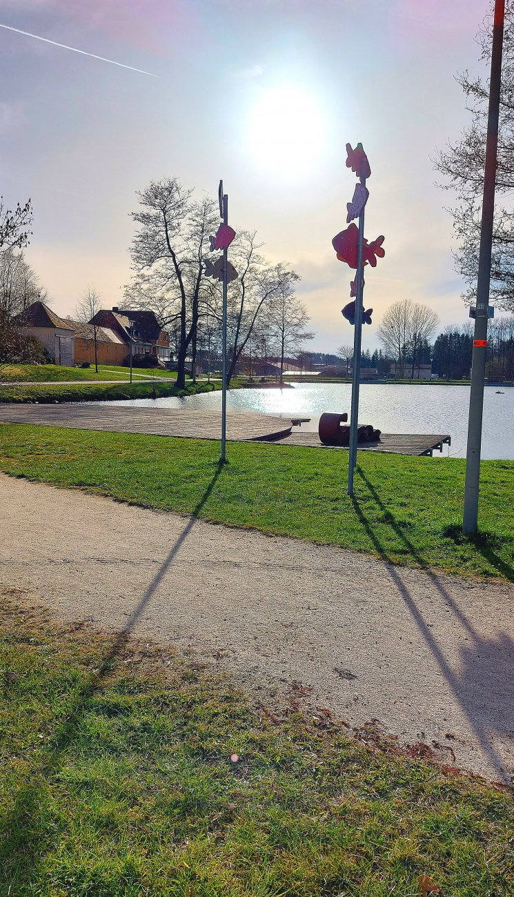 Foto: Martin Zehrer - Schattenspiele am kemnather Stadtweiher.  