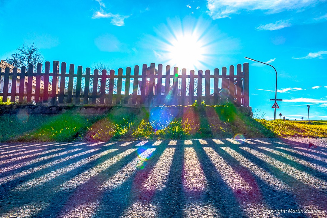 Foto: Martin Zehrer - Kontrast am Gartenzaun - Es ist der 8. November 2015 und dies Sonne strahlt mit voller Wucht auf Godas runter. 