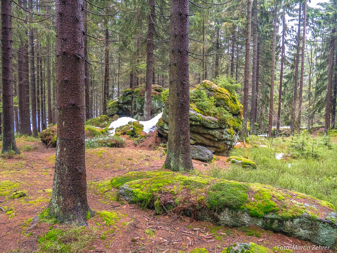 Foto: Martin Zehrer - Ein riesen Fels-Patzen im Wald am Fichtelsee. Wenn man von Fichtelberg her, vom Parkplatz wo einst die Kristall-Therme stand, zum Fichtelsee läuft, sieht man rechter Hand 