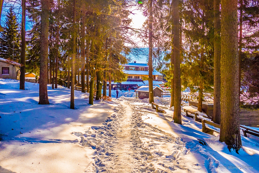 Foto: Martin Zehrer - Unglaubliches am Fichtelsee :-D 