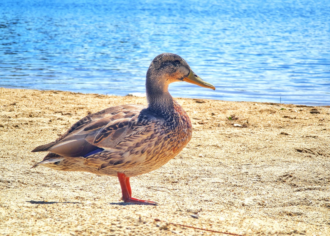 Foto: Maria - Die Mannequins vom Fichtelsee ;-) 