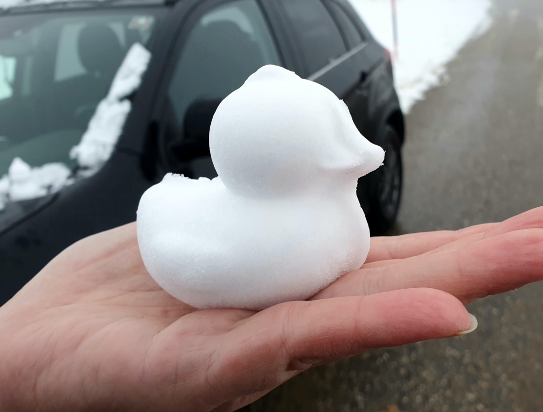 Foto: Martin Zehrer - Eine Oberpfälzer Schnee-Ente :-) 