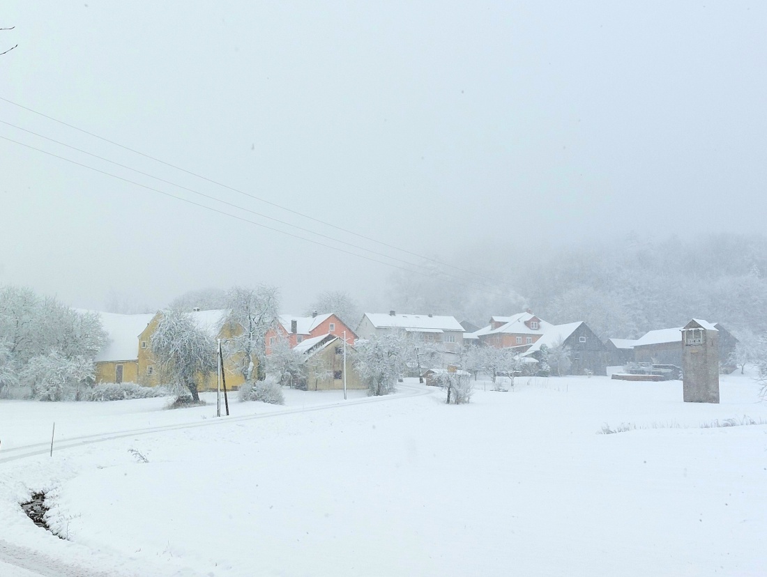 Foto: Martin Zehrer - Albenreuth im Winter... 