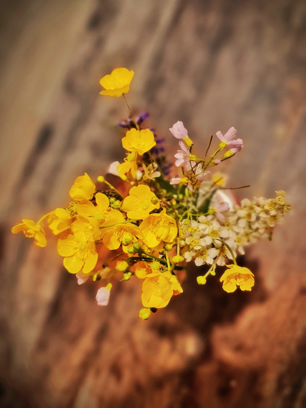 Foto: Jennifer Müller - Wunderschöne Wiesenblumen und herrlich duftender Flieder... der Frühling hält auch zu Hause Einzug... Danke mein Schatz ;-) 
