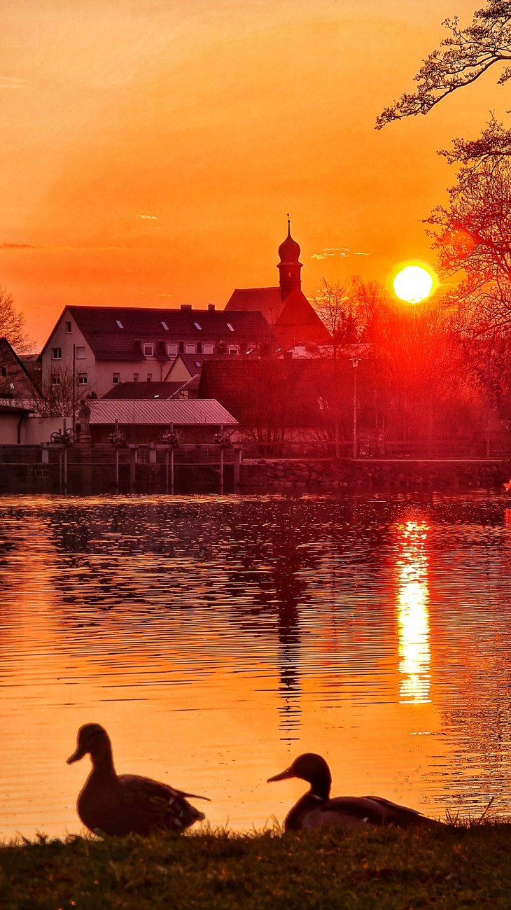 Foto: Jennifer Müller - Die zwei beiden genießen ihren Feierabend und den wunderschönen Sonnenuntergang am Stadtweiher... 