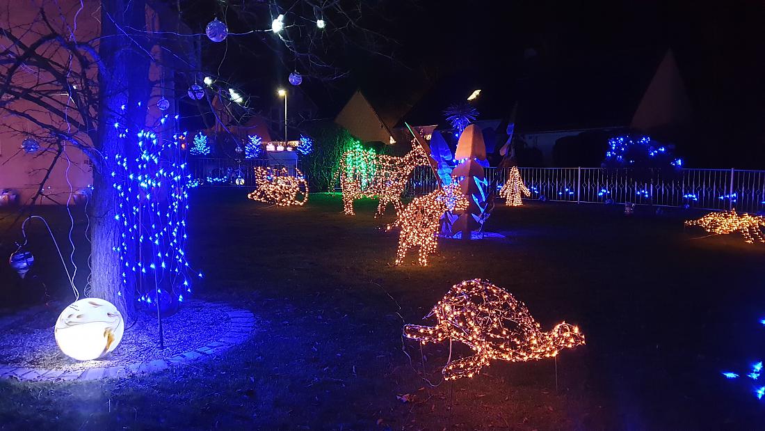 Foto: Martin Zehrer - Wunderschöne Weihnachts-Deko in Hütten...<br />
Eine Schildkröte im Vordergrund... 